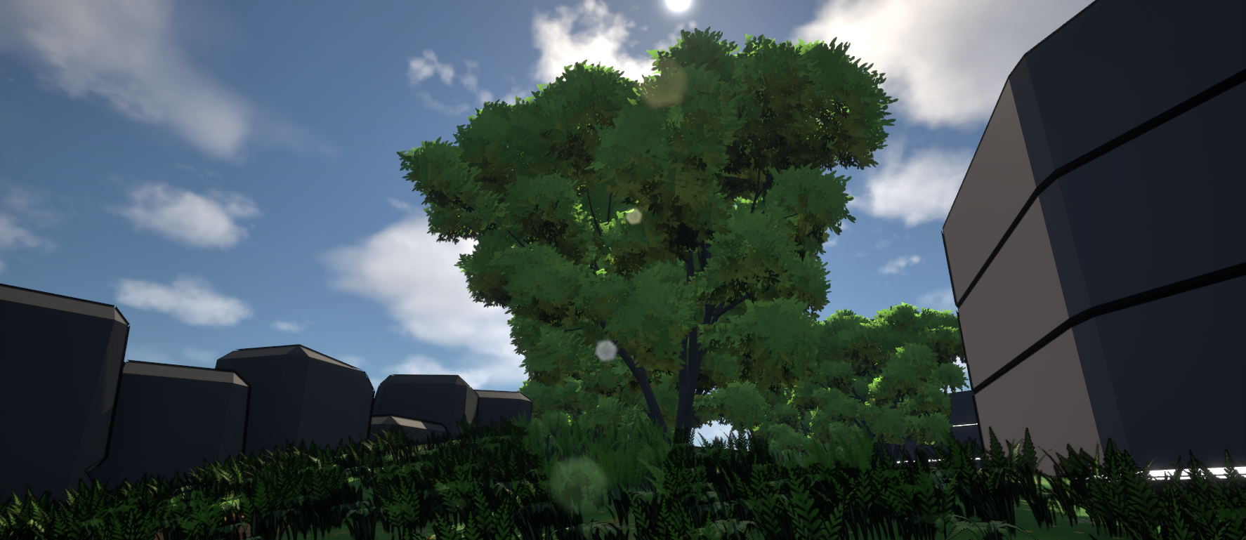 Environment